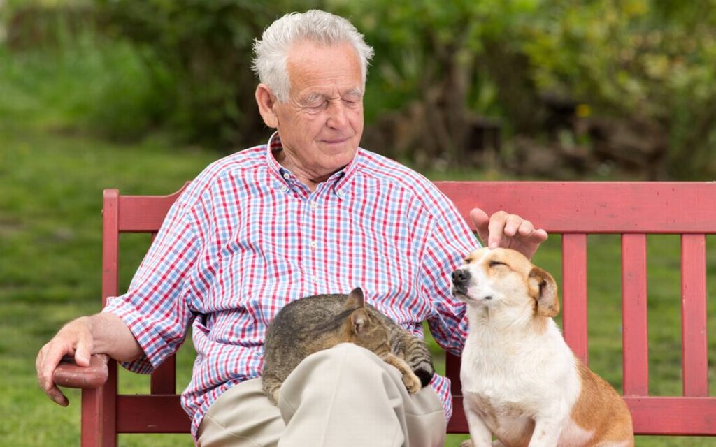 Mascotas y abuelos