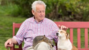 Mascotas y abuelos